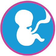 Top_icon_3
